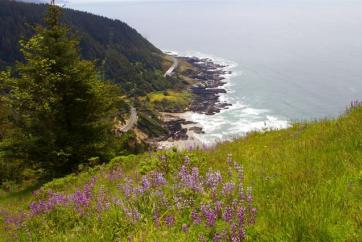 View from Cape Perpetua