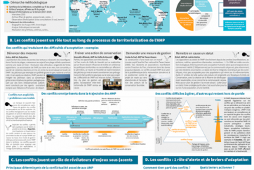 Résultats du projet CALM relatifs aux conflits dans les AMP